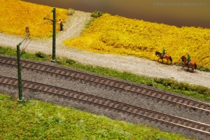 ALB02-St0901-JL