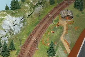 NFM13-Pe0802-JL